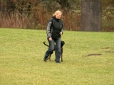 bh-freifolge_0
