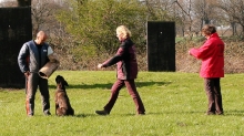 IPO 2 - Bewachung und Abholung Hund