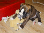 ,,, und Bosco auf seine Art