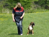 dsc00978-2