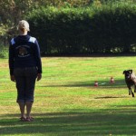 _MG_0090 (2)