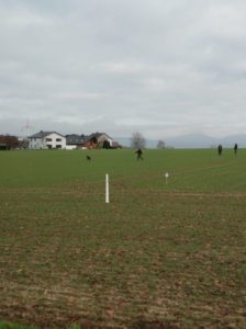 Kalletal Fährtenende - letzter Gegenstand