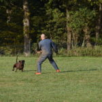 Angriff auf den Hund