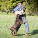 IGP 2 - Wiederangriff mit Bedrängung und Stockschlägen