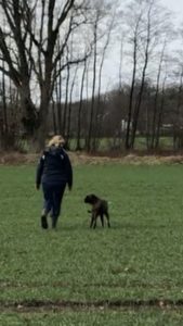 Briska am Gegenstand