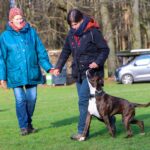 auch wenn die Hand leicht nach oben gezogen wird, soll die Kopfposition des Hundes sich nicht ändern