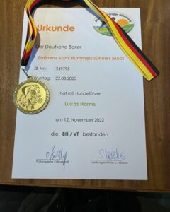 Die Urkunde von Lucas und Emil - Die Prüfung fand in der BK Gruppe Oldenburg statt