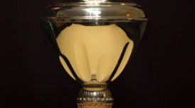 Pokal_Schutzdienst