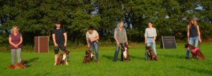 Yvonne mit Evi, David mit Elfie, Sabine mit Einstein, Gesa mit Elodie, Alisa mit Elyssa und Tanja mit Cosima