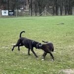 Kennenlernen Neujahr 1.1.2023